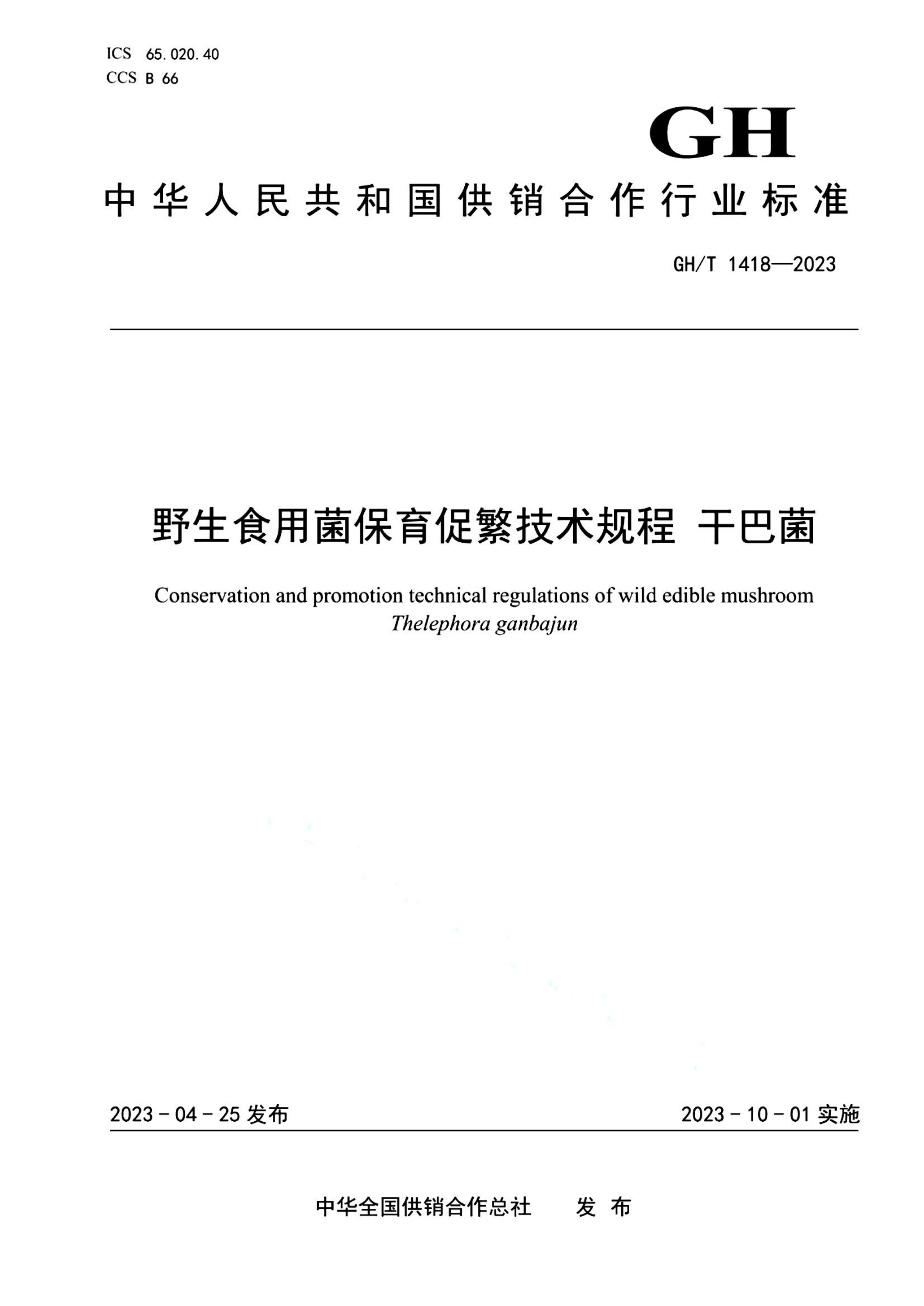 资源详情图